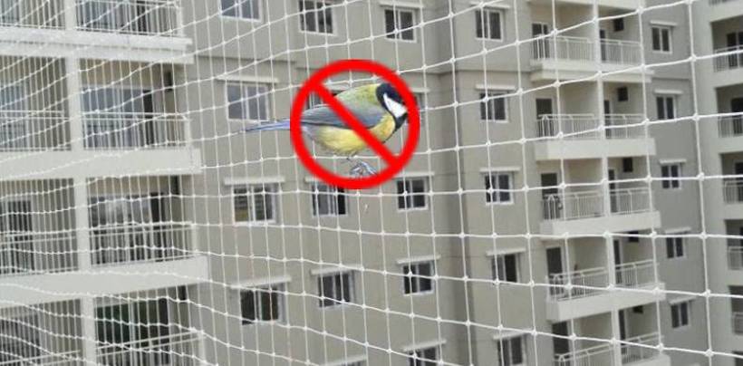 Bird Netting Cost in Bangalore | Call 9900007643 for High Quality Net