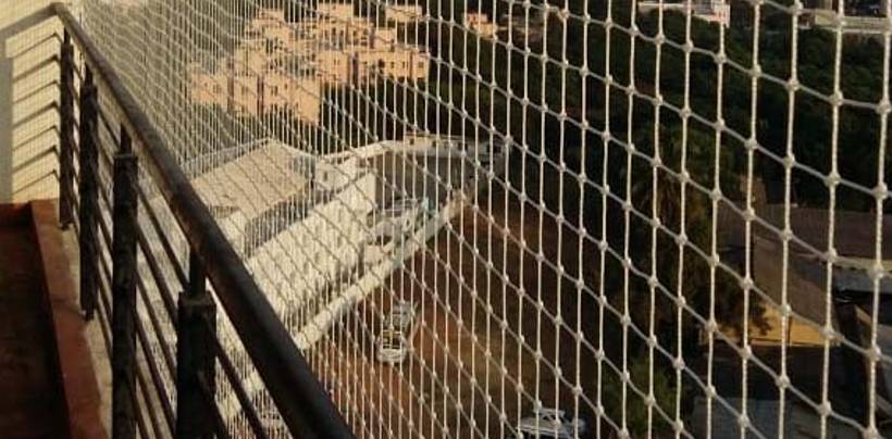 Bird Protection Nets In Bangalore | Call 9900007643 for Free Inspection