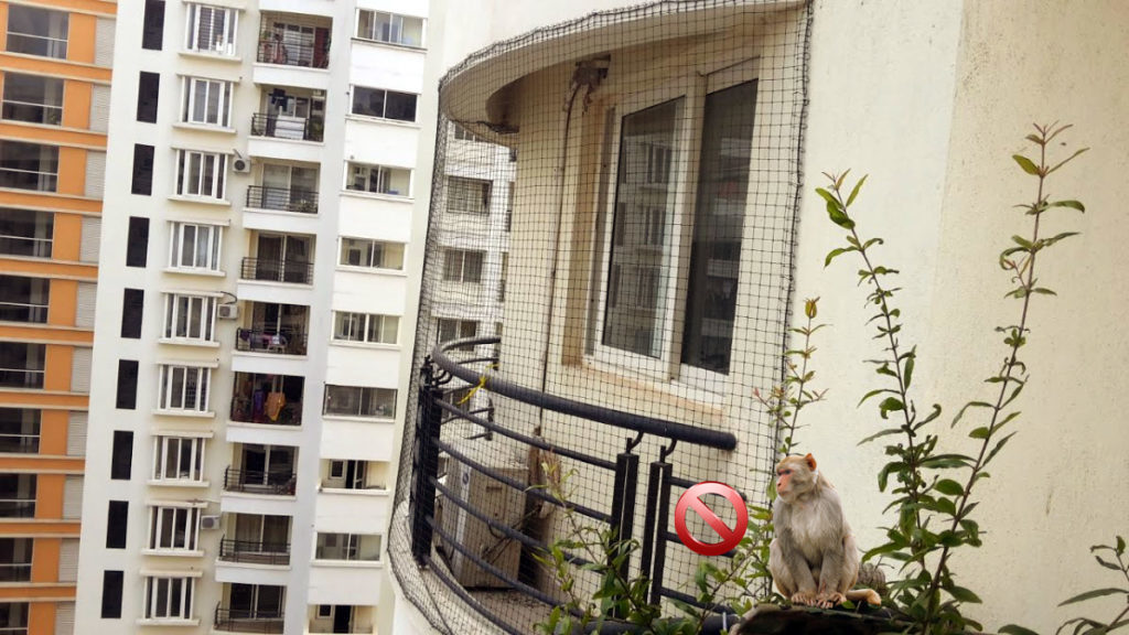 Monkey Protection Nets for Balcony | Call 9900007643 fixing in Bangalore