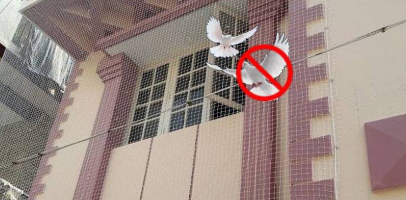 Pigeon Net Installation In Bangalore | Call 9900007643 for Best Quality Net 